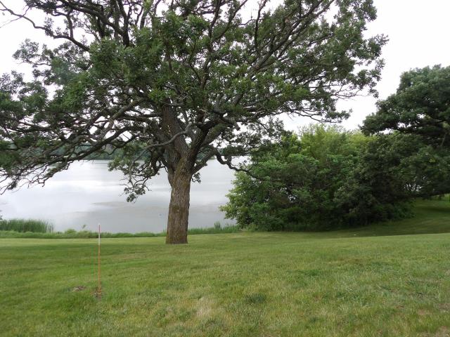 House for sale in Twin Lakes, Minnesota
