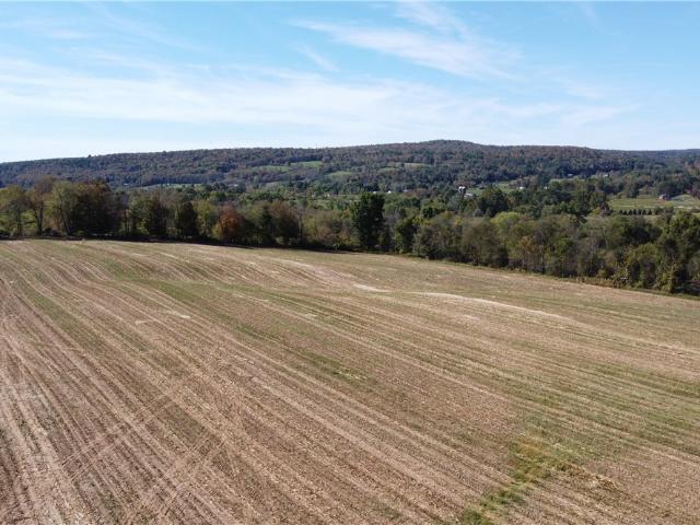 Land for sale in Greene, New York