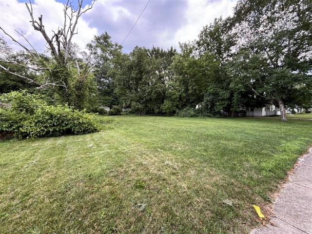 Land for sale in Cozy Homes, Redford Township