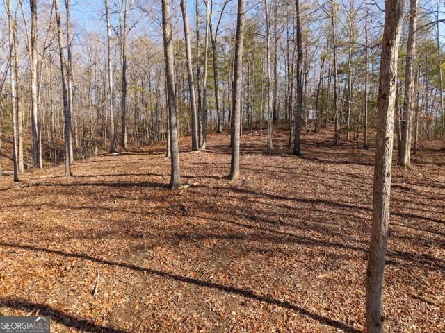 Land for sale in Pickens, Georgia