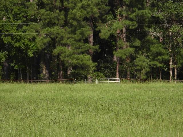 Land for sale in Richards, Texas