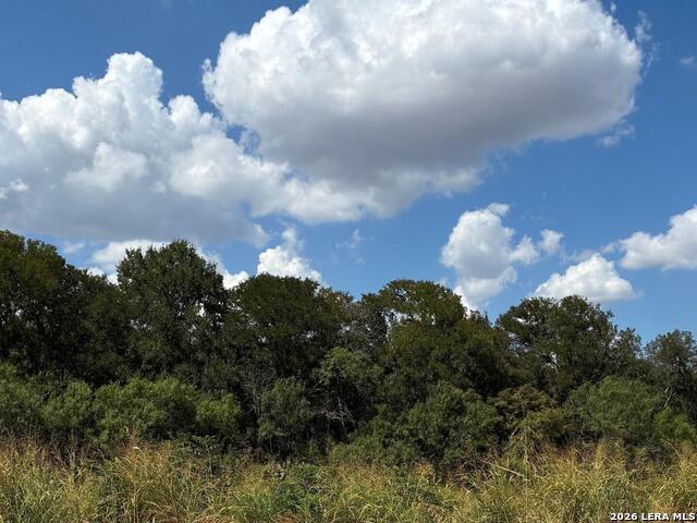 Land for sale in Seguin, Texas