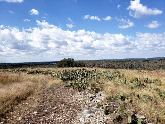 Farm for sale in Doss, Texas