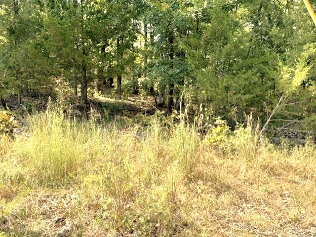 Land for sale in Ark