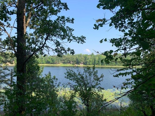 Land for sale in Hackensack, Cass County