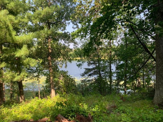 Land for sale in Hackensack, Minnesota
