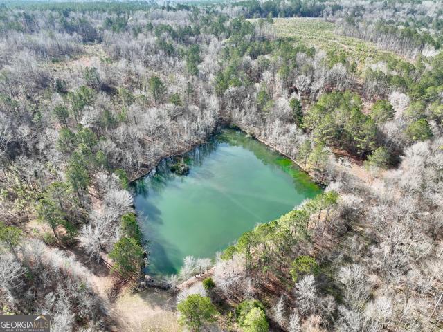 Land for sale in Cochran, Georgia