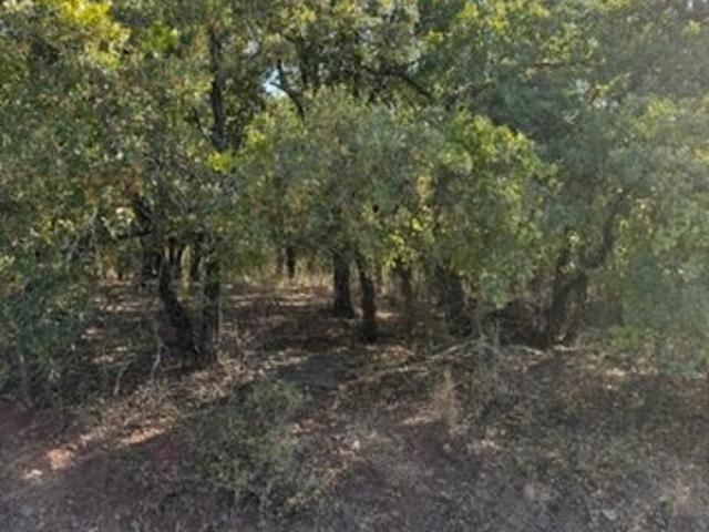 Land for sale in Nocona, Texas