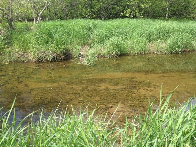 Land for sale in Mannsville, New York
