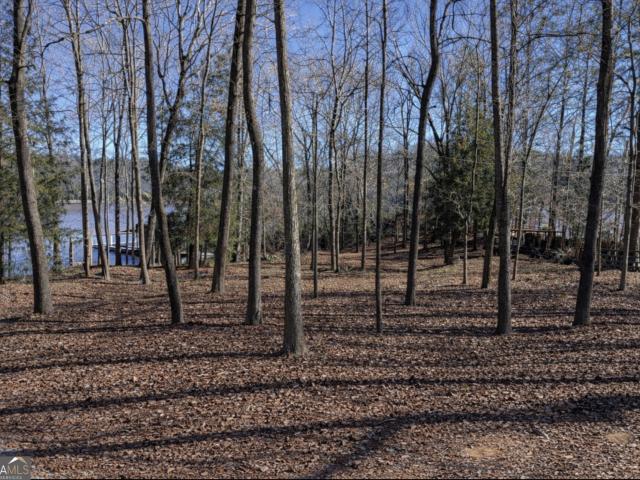 Land for sale in Valley, Alabama