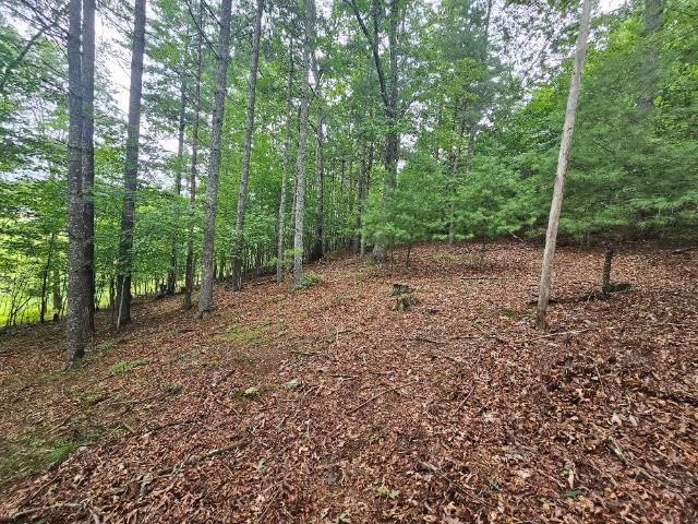 Land for sale in Virginia