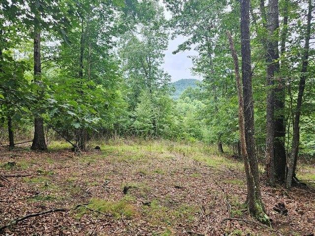 Land for sale in Virginia