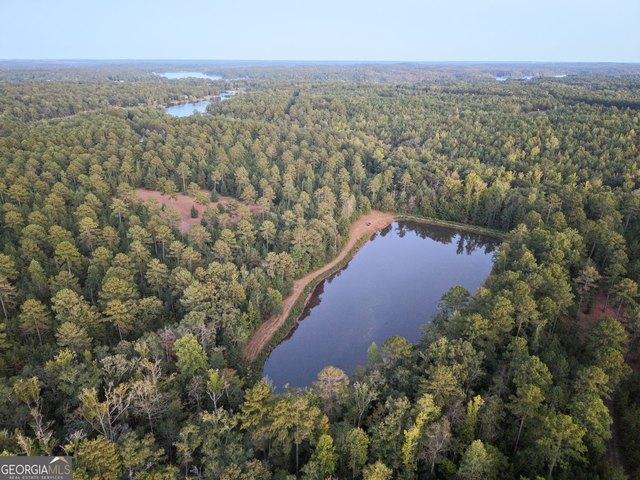 Land for sale in Eatonton, Putnam County