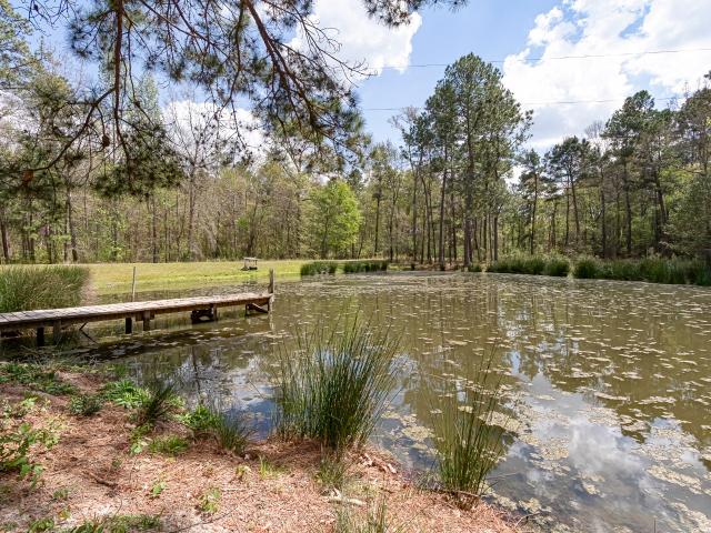 Farm for sale in Corrigan, Polk County