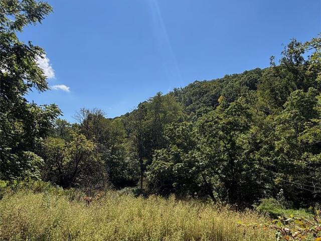 Land for sale in Spruce Pine, North Carolina