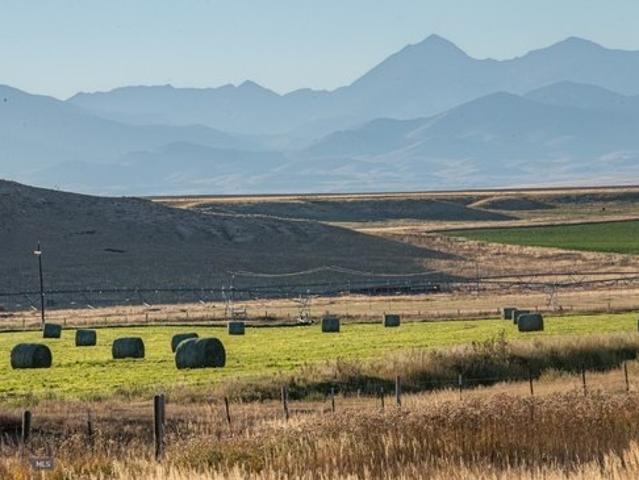 Farm for sale in Dillon, Montana
