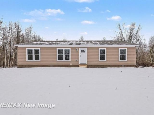 House for sale in Saint Charles, Michigan