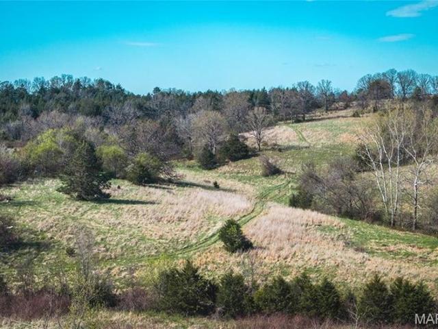 Farm for sale in Phelps, Missouri