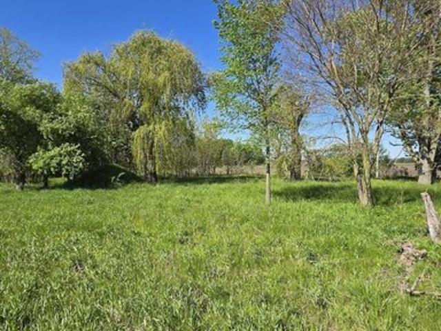 Land for sale in Three Oaks, Michigan