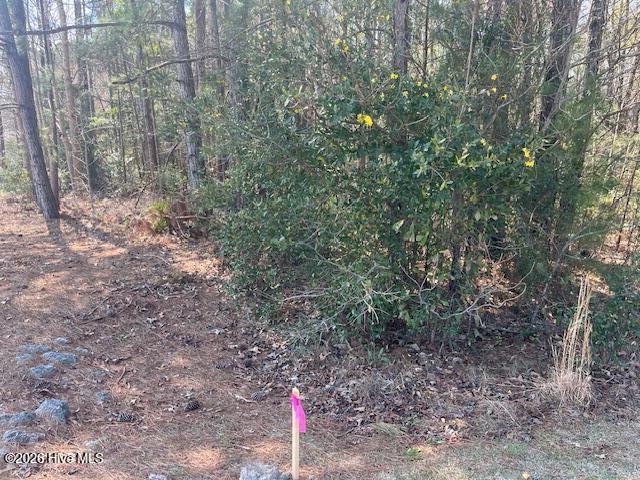 Land for sale in Bolivia, North Carolina