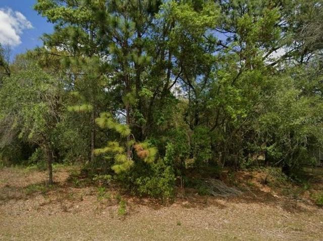 Land for sale in Florida