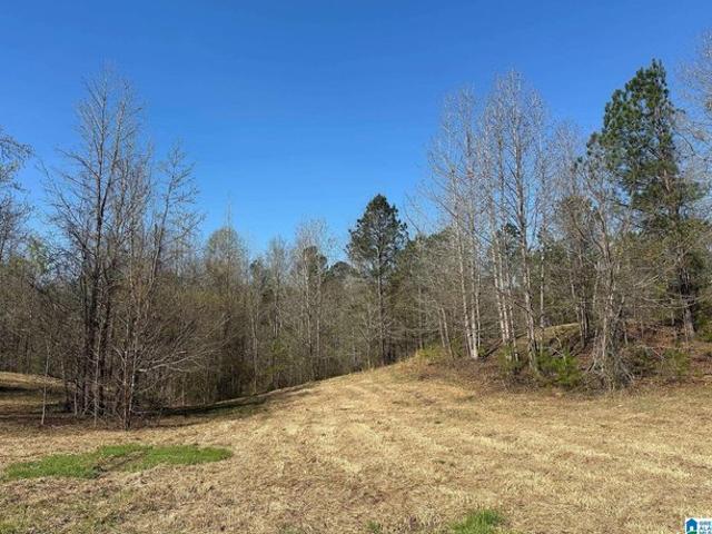 Land for sale in Sterrett, Alabama