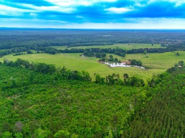 Land for sale in San Augustine, Texas