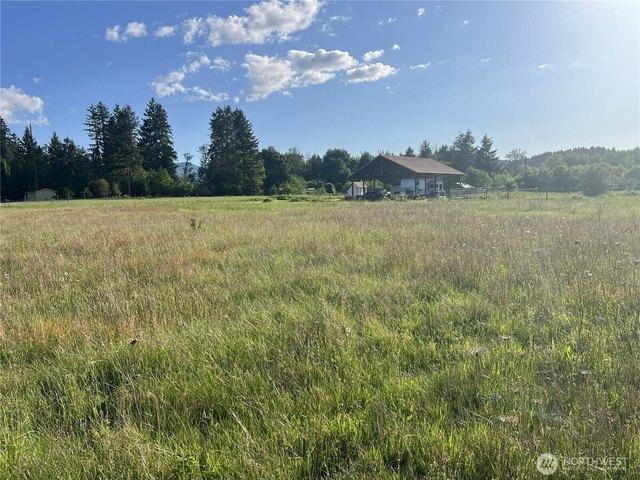Land for sale in Vader, Washington