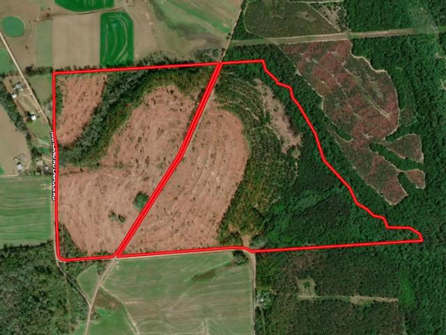 Land for sale in Geneva, Alabama
