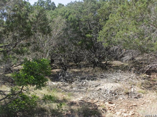 Land for sale in Concan, Texas