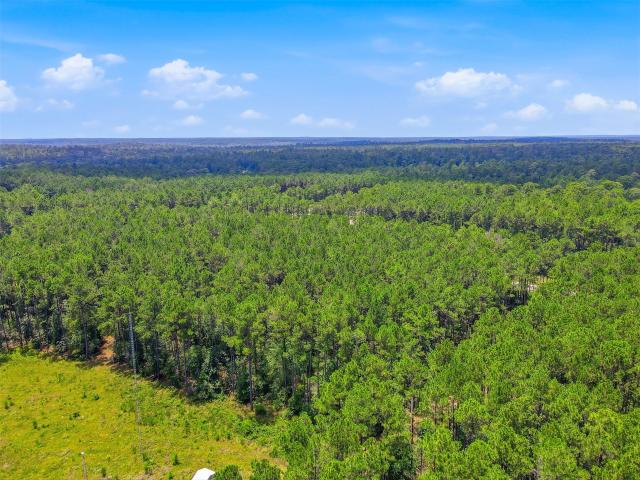 Land for sale in Walker, Texas