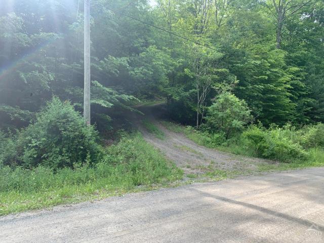 Land for sale in East Nassau, New York