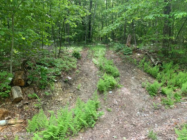Land for sale in East Nassau, New York
