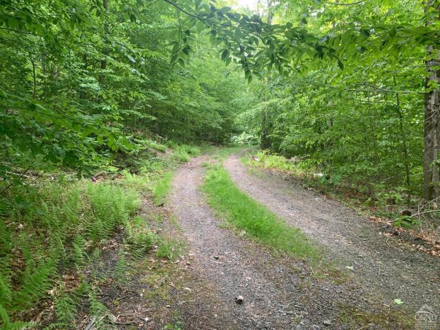 Land for sale in East Nassau, New York