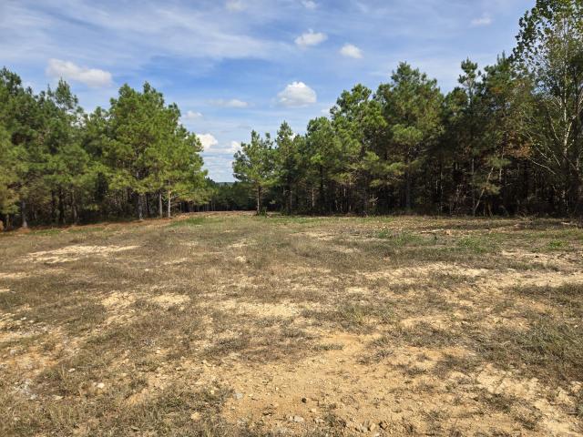 Land for sale in Dover, Middle Tennessee