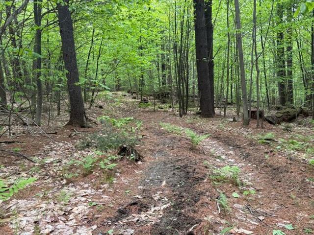 Land for sale in West Dover, Vermont