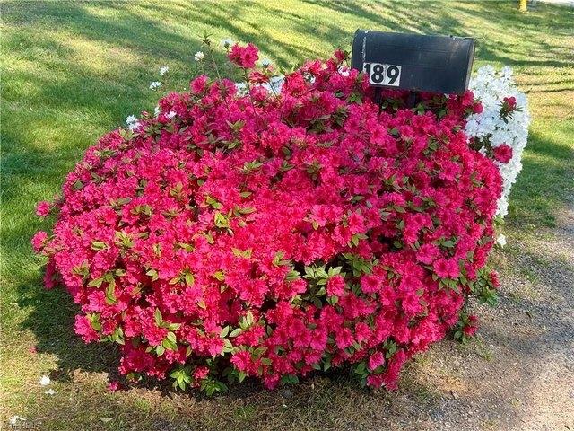 House for sale in Pfafftown, North Carolina