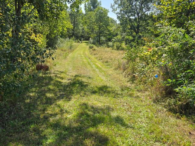 Land for sale in Cornwallville, New York