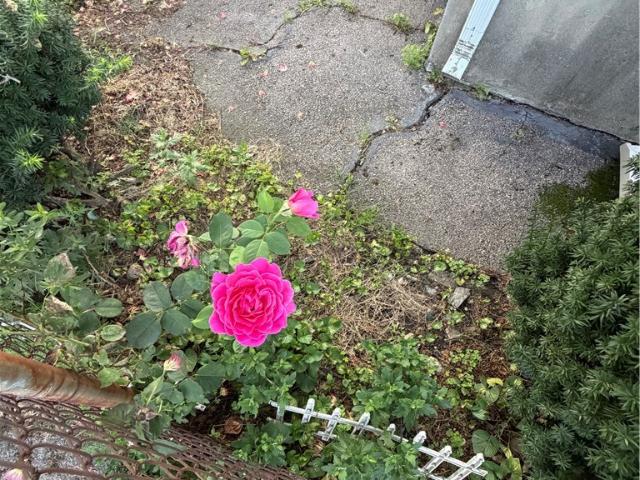 Property for rent in Providence, Rhode Island