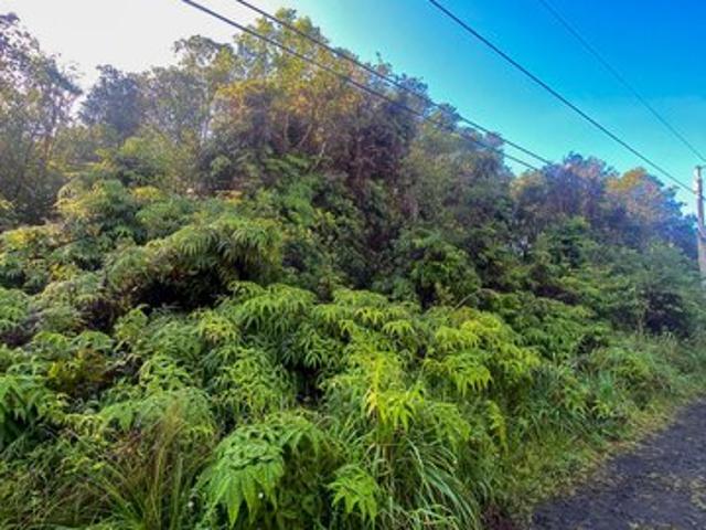 Land for sale in Mountain View, Hawaii