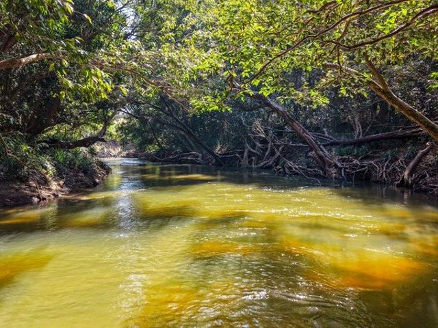Cottage for sale in Biboohra, Queensland