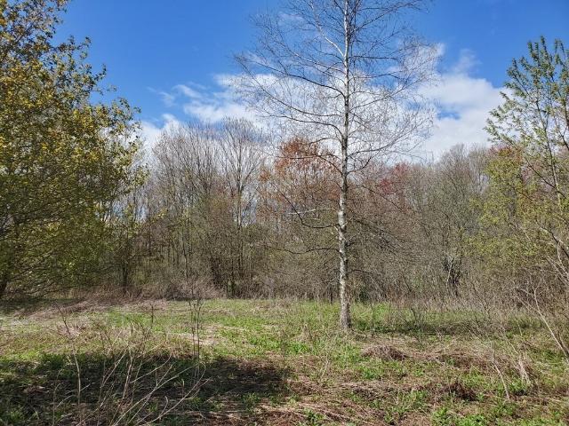 Land for sale in North Brookfield, Massachusetts