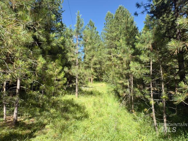 Land for sale in Cascade, Idaho
