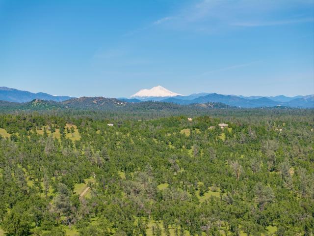 Land for sale in Shasta, California