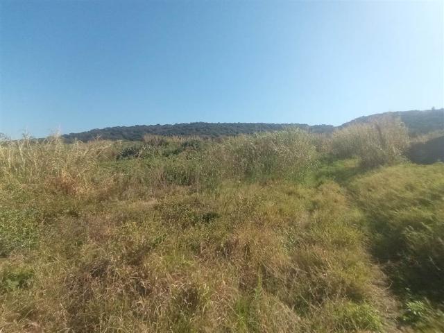 Land for sale in Mount Moreland, Kwazulu-natal