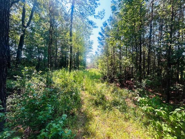 Land for sale in Kingstree, South Carolina