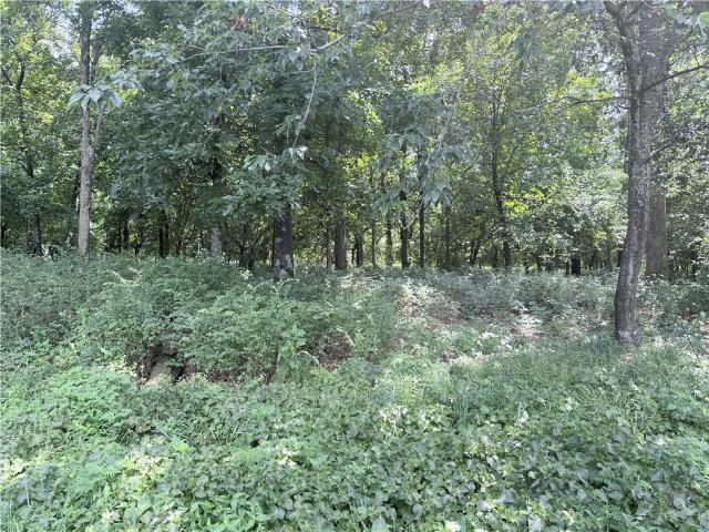 Land for sale in Ark