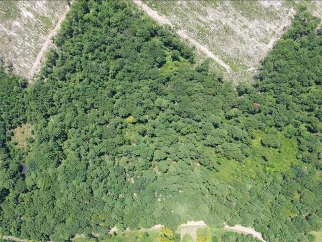 Land for sale in Newton, Texas