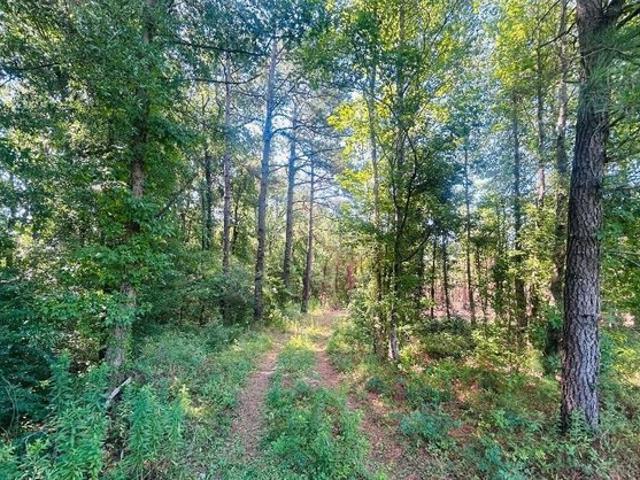 Land for sale in Kingstree, South Carolina