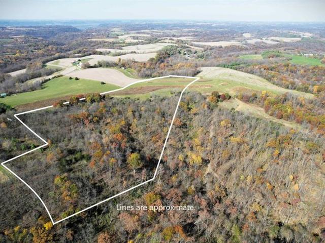 Land for sale in De Soto, Vernon County
